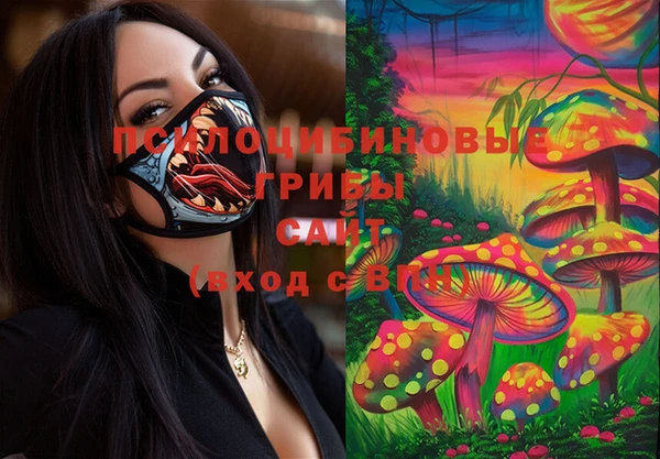 спайс Беломорск