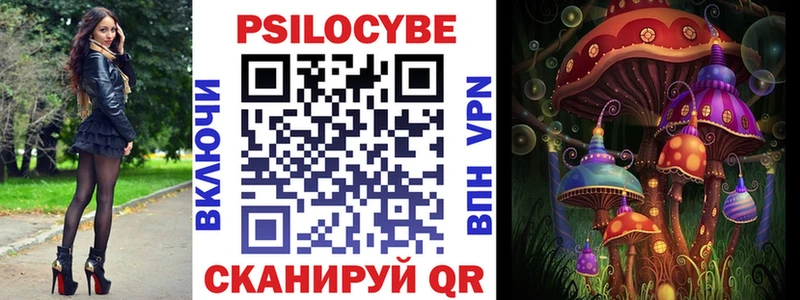 Галлюциногенные грибы прущие грибы  где найти   Салаир 