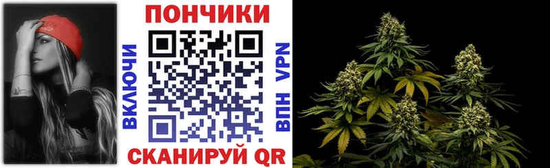 Бошки Шишки Amnesia  мега ТОР  Салаир 